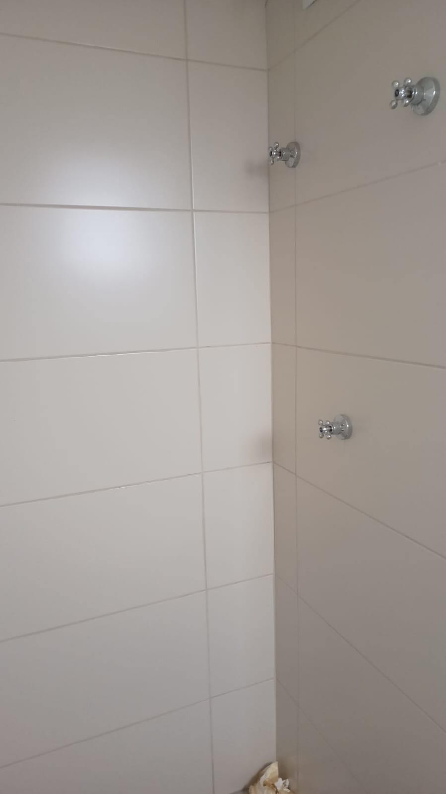 Imagem Studio com 1 Quarto para Alugar, 2 m²em Jaçanã - São Paulo