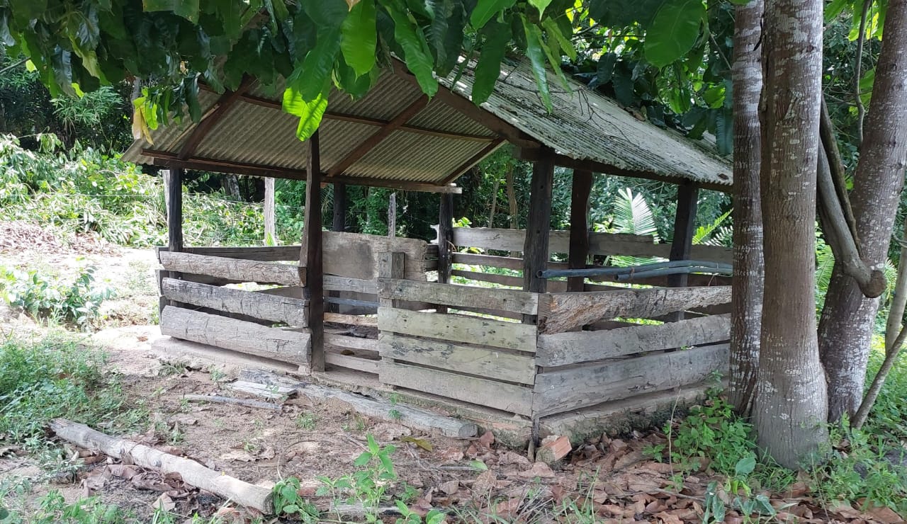 Imagem Fazenda à Venda, 9 Alq MGem Nova Marabá - Marabá Imagem Fazenda à Venda, 9 Alq MGem Nova Marabá - Marabá