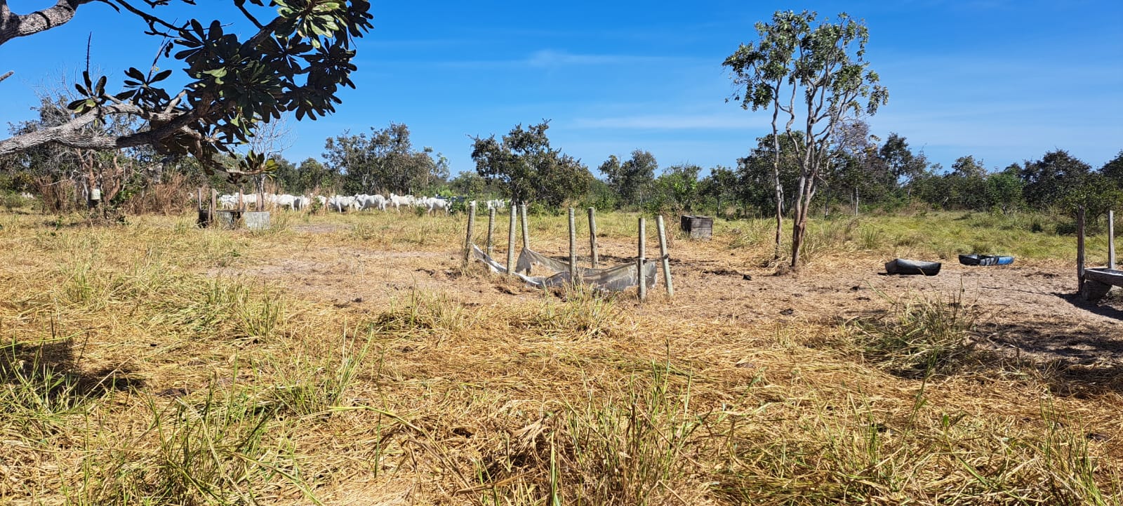 Imagem Fazenda à Venda, 25 Alq GOem Zona Rural - Araguaiana Imagem Fazenda à Venda, 25 Alq GOem Zona Rural - Araguaiana