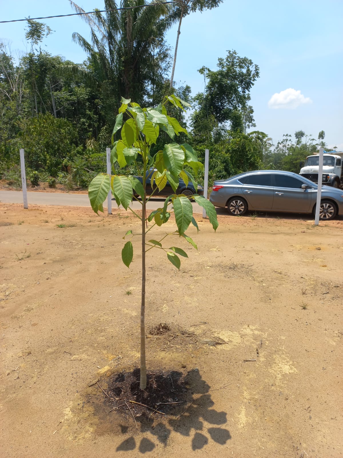 Imagem Terreno à Venda, 1 m²em Zona Rural - Iranduba