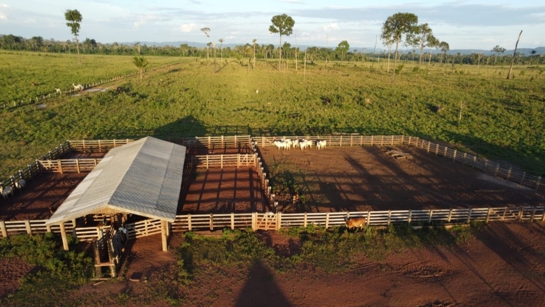Imagem Fazenda à Venda, 430 m² em Centro - São Félix do Xingu Imagem Fazenda à Venda, 430 m² em Centro - São Félix do Xingu