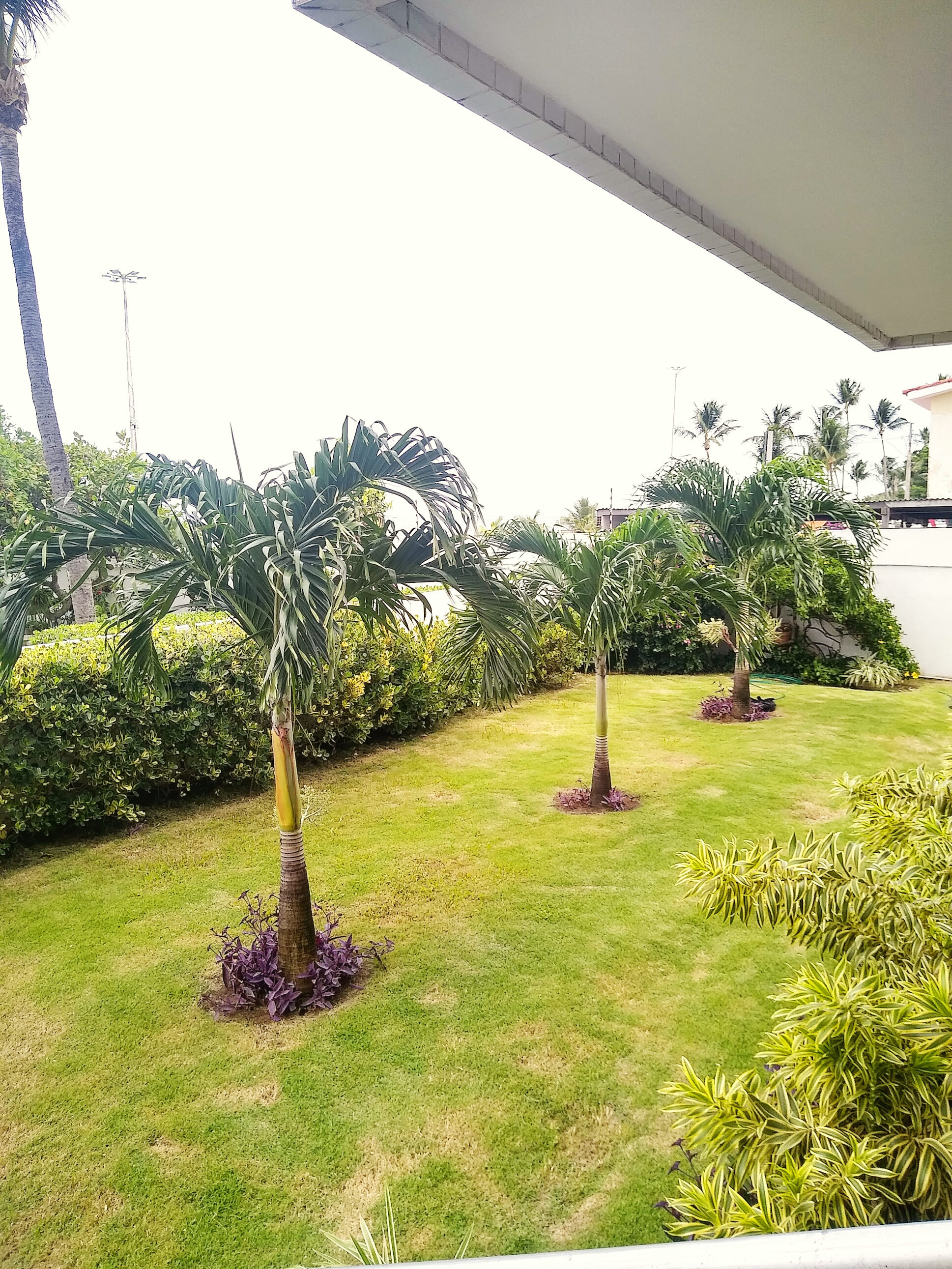 Imagem Apartamento com 3 Quartos à Venda, 143 m²em Candeias - Jaboatão dos Guararapes
