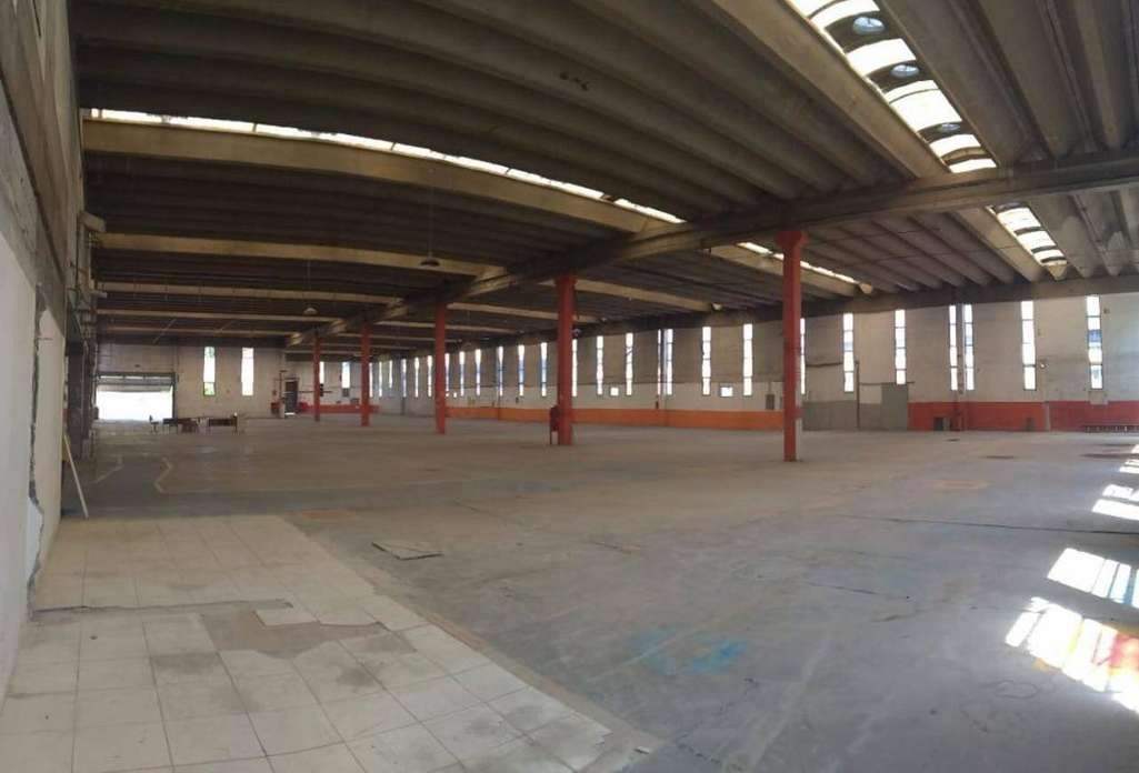 Imagem Galpão para Alugar, 5.000 m² em Parque São Domingos - São Paulo