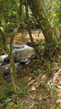 Imagem Terreno à Venda, 1.000 m² em Centro - Atibaia Imagem Terreno à Venda, 1.000 m² em Centro - Atibaia