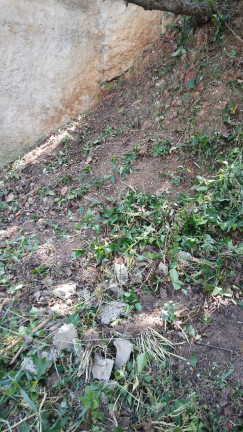 Imagem Terreno à Venda, 500 m² em Vila Gustavo - São Paulo Imagem Terreno à Venda, 500 m² em Vila Gustavo - São Paulo