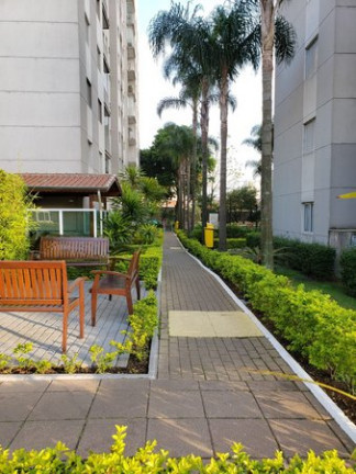 Imagem Apartamento com 2 Quartos à Venda, 51 m² em Vila Antonieta - São Paulo Imagem Apartamento com 2 Quartos à Venda, 51 m² em Vila Antonieta - São Paulo