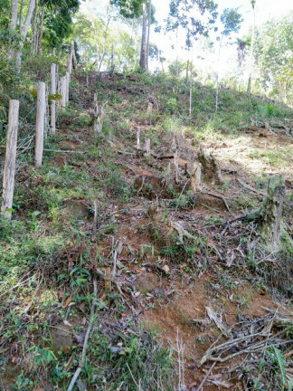 Imagem Terreno à Venda, 1.000 m² em Jardim Zaira - Mauá Imagem Terreno à Venda, 1.000 m² em Jardim Zaira - Mauá