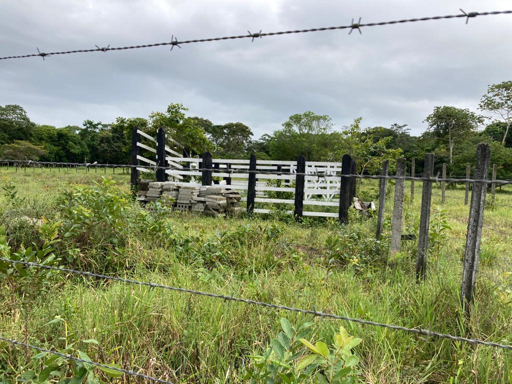 Imagem Imóvel com 5 Quartos à Venda, 400 m²em Murutuba - Cachoeira