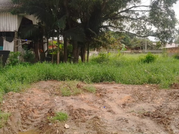 Imagem Terreno à Venda, 300 m² em itajuba  - Barra Velha