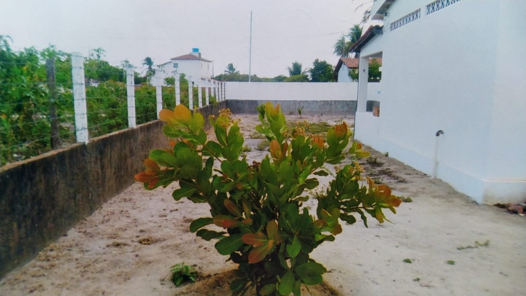 Imagem Casa com 1 Quarto à Venda, 49 m² em Pitanga de estrada - Capim Imagem Casa com 1 Quarto à Venda, 49 m² em Pitanga de estrada - Capim
