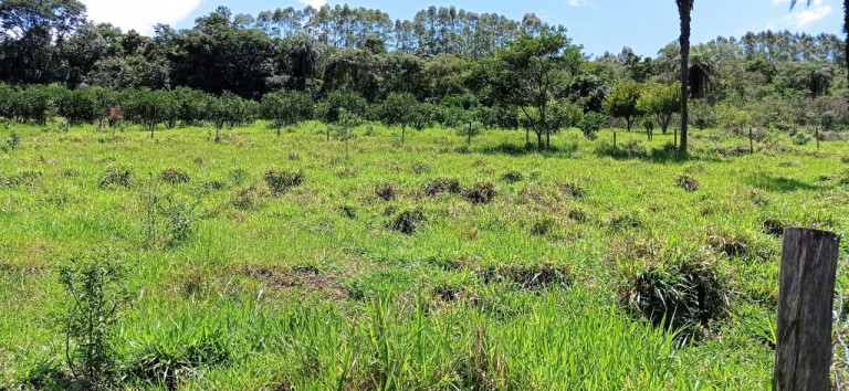 Imagem Terreno à Venda, 450.000 m² em Área Rural de Itabirito - Itabirito Imagem Terreno à Venda, 450.000 m² em Área Rural de Itabirito - Itabirito