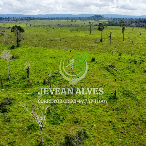 Imagem Fazenda à Venda, 4 m²em Centro  - São Félix do Xingu