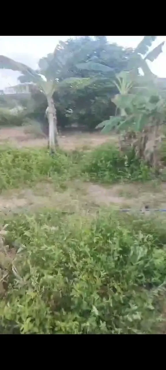 Imagem Fazenda à Venda, em Samambaia Sul (Samambaia) - Brasília