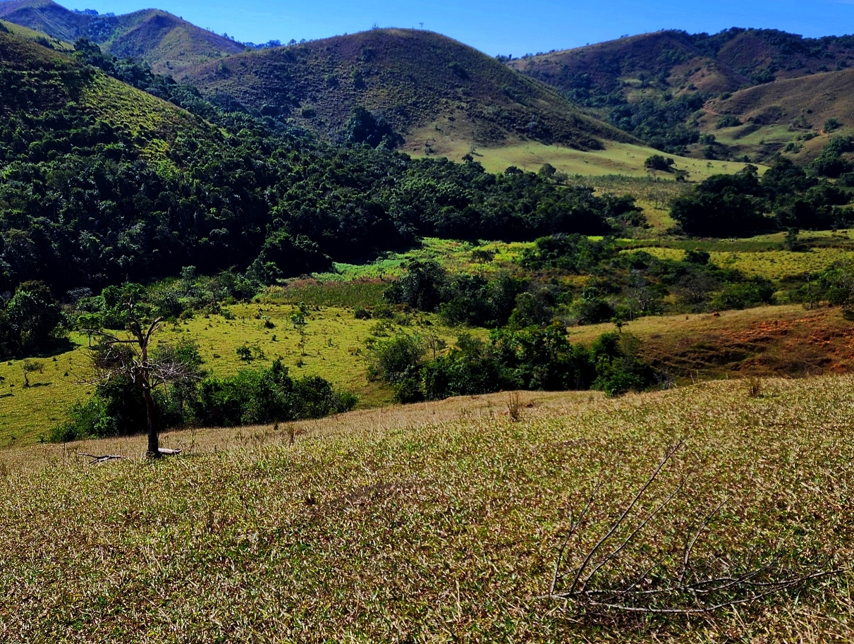 Imagem Fazenda à Venda, 459.000 HA em Área Rural de Valença - Valença Imagem Fazenda à Venda, 459.000 HA em Área Rural de Valença - Valença