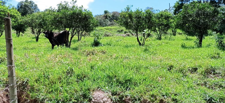 Imagem Terreno à Venda, 450.000 m² em Área Rural de Itabirito - Itabirito Imagem Terreno à Venda, 450.000 m² em Área Rural de Itabirito - Itabirito
