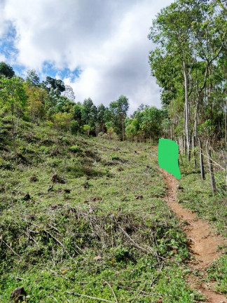 Imagem Terreno à Venda, 1.000 m² em Jardim Zaira - Mauá Imagem Terreno à Venda, 1.000 m² em Jardim Zaira - Mauá