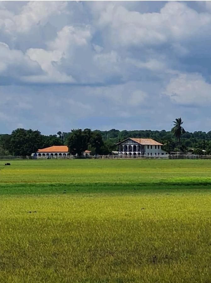 Imagem Fazenda à Venda, 11.970 m² em Zona Rural - Alenquer Imagem Fazenda à Venda, 11.970 m² em Zona Rural - Alenquer