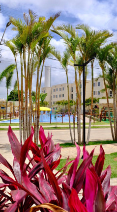 Imagem Apartamento com 2 Quartos à Venda, 42 m² em Jardins - São Gonçalo do Amarante