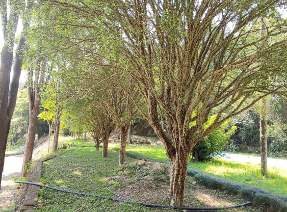 Imagem Chácara com 2 Quartos à Venda, 300 m² em Esplanada Mendes Moraes - São Roque