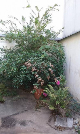 Imagem Casa com 5 Quartos à Venda, 260 m² em Centro - Sorocaba Imagem Casa com 5 Quartos à Venda, 260 m² em Centro - Sorocaba