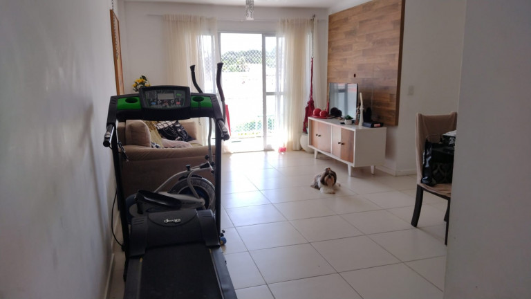 Imagem Apartamento com 3 Quartos para Alugar, 88 m² em Jardim Renascença - São Luís Imagem Apartamento com 3 Quartos para Alugar, 88 m² em Jardim Renascença - São Luís