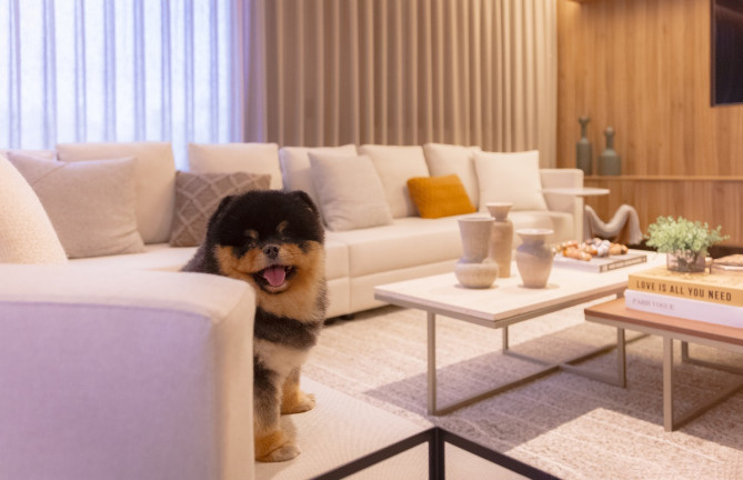 Imagem Apartamento com 3 Quartos à Venda, 170 m² em Pinheiros - São Paulo Imagem Apartamento com 3 Quartos à Venda, 170 m² em Pinheiros - São Paulo