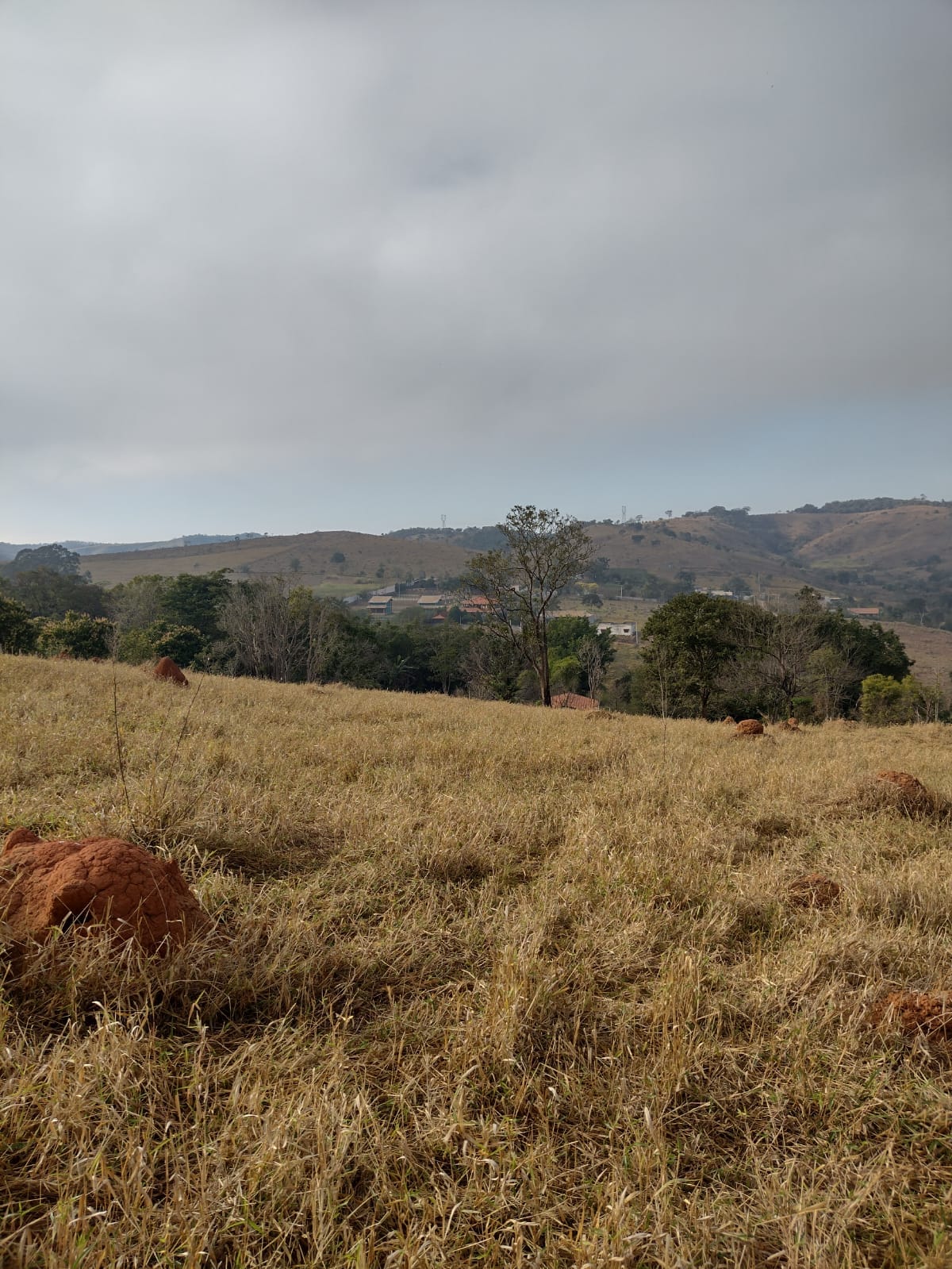 Imagem Terreno à Venda, 21.000 m² em Jardim Continental - Taubaté Imagem Terreno à Venda, 21.000 m² em Jardim Continental - Taubaté