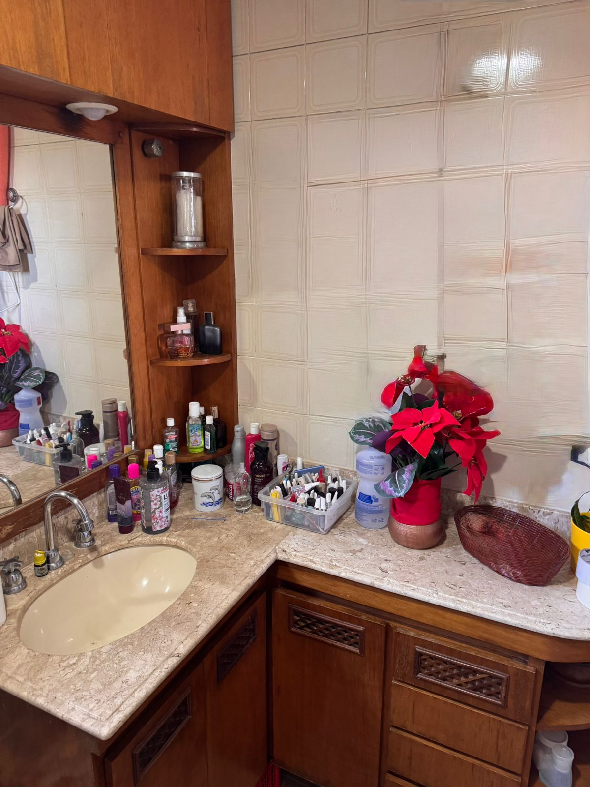Imagem Apartamento com 2 Quartos à Venda ou Locação, 62 m² em Vila Mascote - São Paulo Imagem Apartamento com 2 Quartos à Venda ou Locação, 62 m² em Vila Mascote - São Paulo