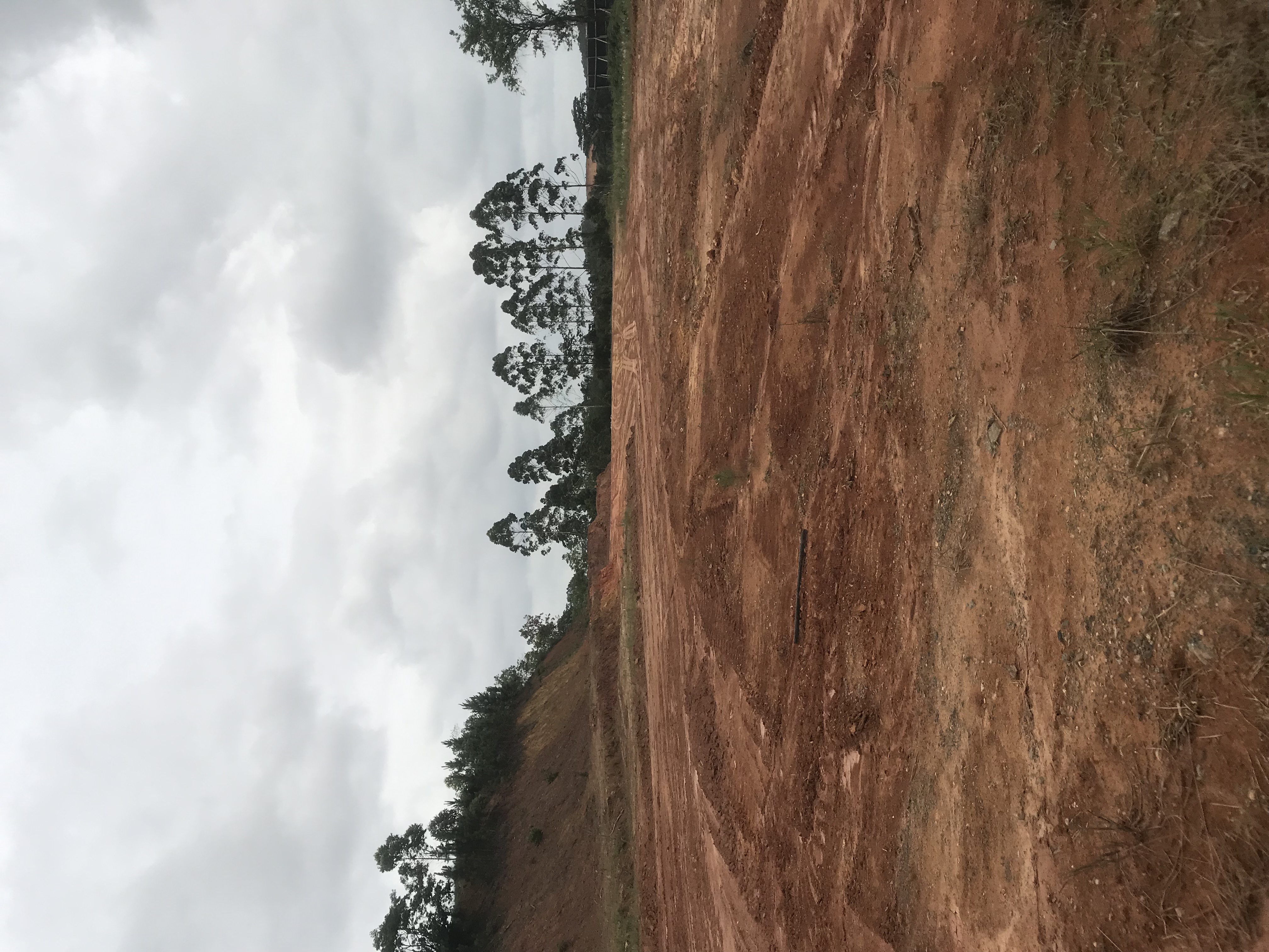 Imagem Terreno à Venda, 34.000 m² em Ponto Alto Corveta - Araquari Imagem Terreno à Venda, 34.000 m² em Ponto Alto Corveta - Araquari