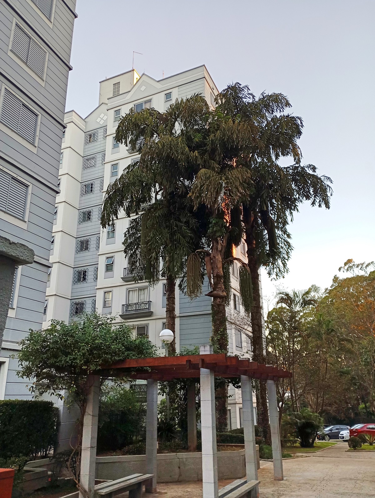 Imagem Apartamento com 2 Quartos para Alugar, 61 m² em Vila Santa Teresa (Zona Sul) - São Paulo Imagem Apartamento com 2 Quartos para Alugar, 61 m² em Vila Santa Teresa (Zona Sul) - São Paulo