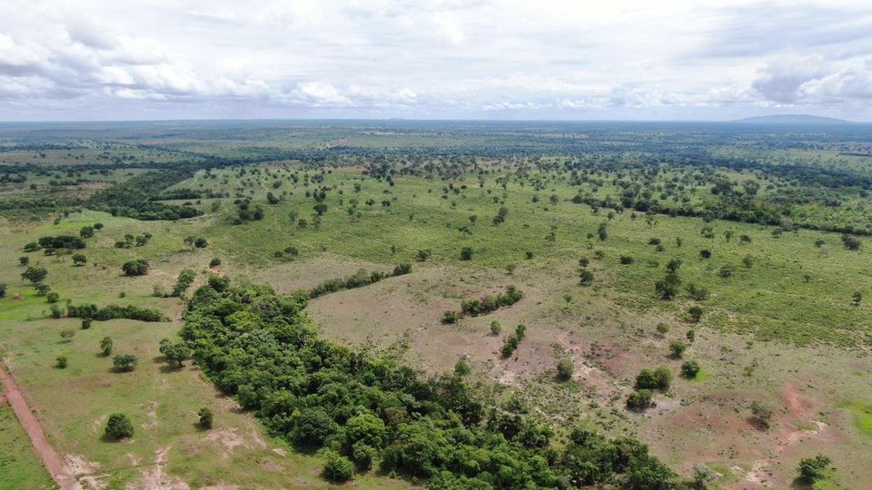 Imagem Fazenda à Venda, 435 Alq GOem Zona Rural - Novo Planalto