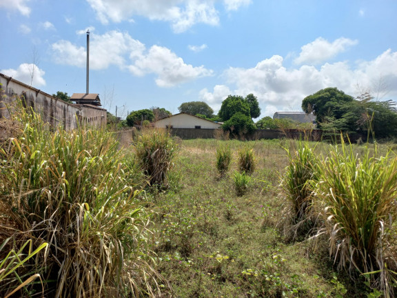 Imagem Terreno para Alugar, 2.700 m² em São José Operário - Santarém Imagem Terreno para Alugar, 2.700 m² em São José Operário - Santarém