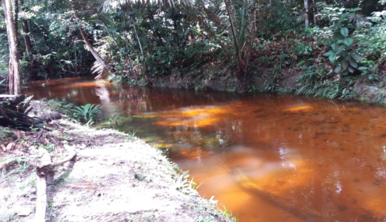 Imagem Chácara com 4 Quartos à Venda,  em Ramal urubui - Presidente Figueiredo
