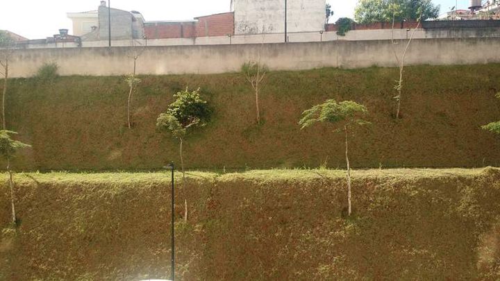 Imagem Apartamento com 2 Quartos para Alugar, 51 m² em Umuarama - Osasco
