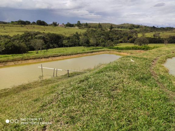 Imagem Fazenda à Venda, 400.000m² em Girassol - Cocalzinho de Goiás Imagem Fazenda à Venda, 400.000m² em Girassol - Cocalzinho de Goiás