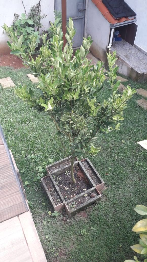 Imagem Sobrado com 4 Quartos à Venda, 287 m²em Jardim Santos Dumont II - Mogi das Cruzes