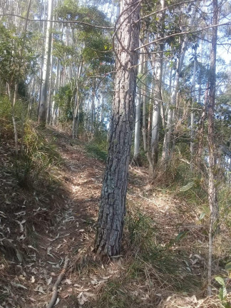 Imagem Terreno à Venda, 123.000 m² em Zona Rural - Santa Bárbara do Tugúrio Imagem Terreno à Venda, 123.000 m² em Zona Rural - Santa Bárbara do Tugúrio