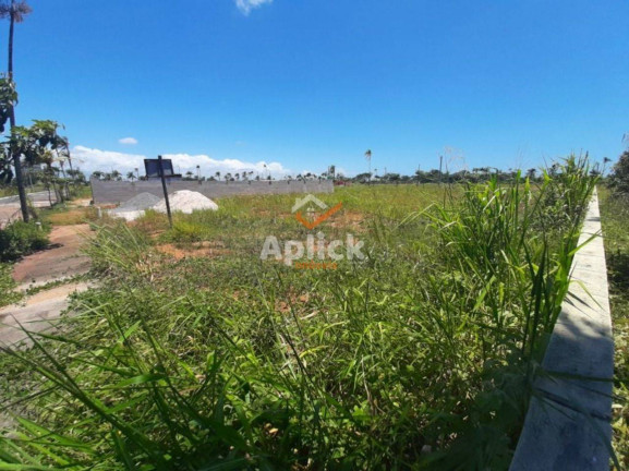 Imagem Terreno à Venda, 300 m² em Manguinhos - Serra Imagem Terreno à Venda, 300 m² em Manguinhos - Serra