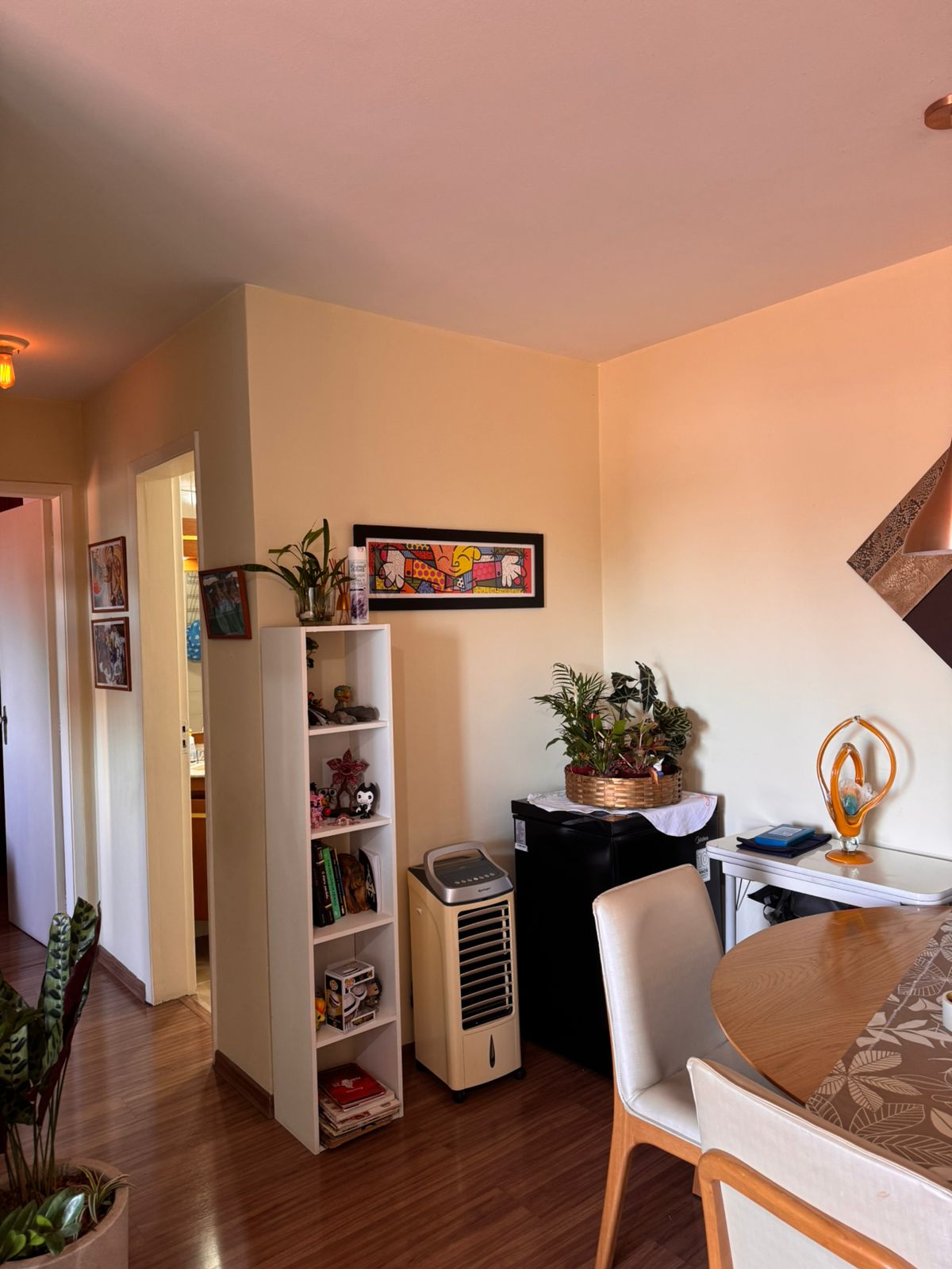 Imagem Apartamento com 2 Quartos à Venda ou Locação, 62 m² em Vila Mascote - São Paulo Imagem Apartamento com 2 Quartos à Venda ou Locação, 62 m² em Vila Mascote - São Paulo