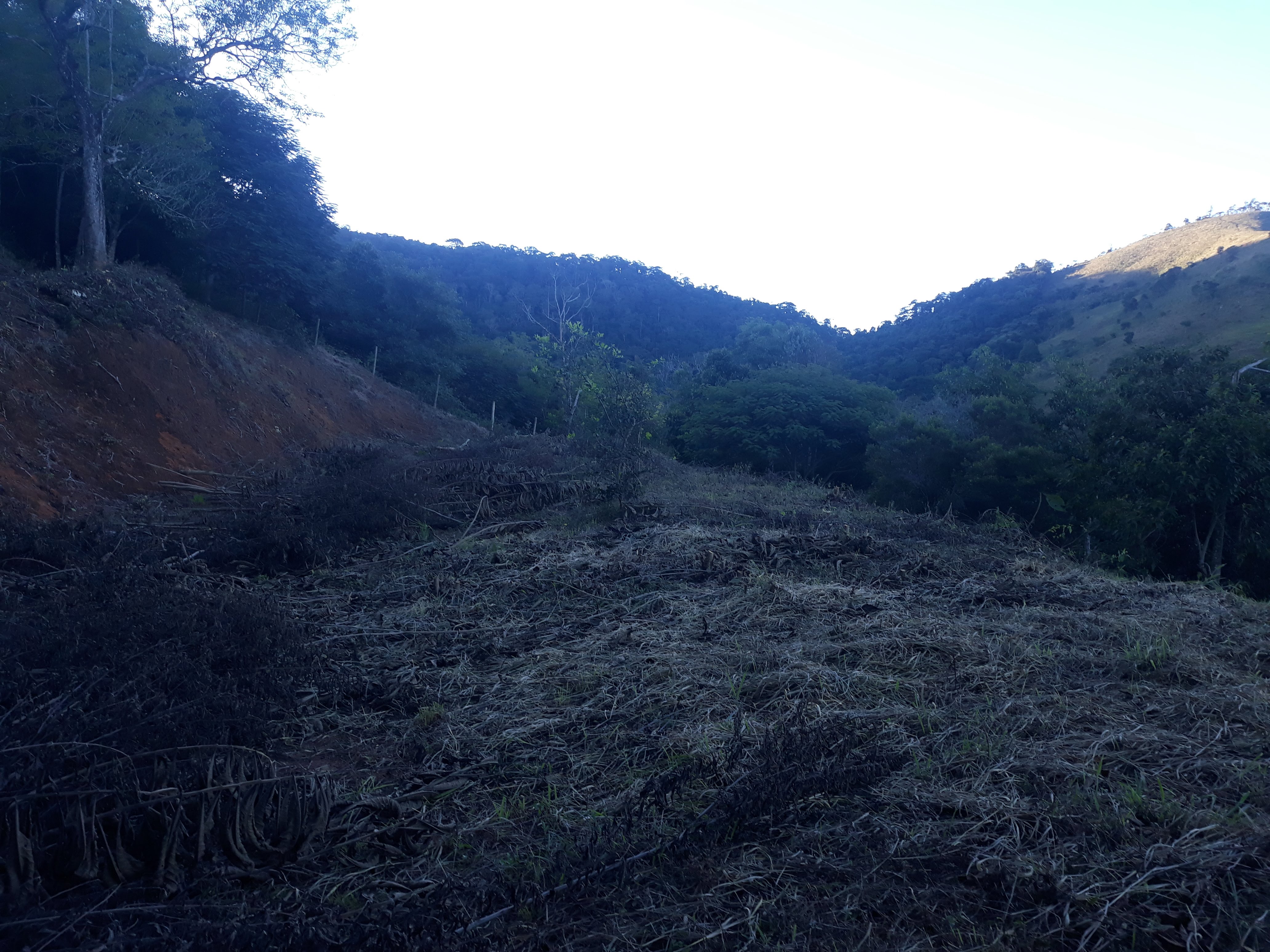 Imagem Terreno à Venda, em Humaitá - Juiz de Fora Imagem Terreno à Venda, em Humaitá - Juiz de Fora
