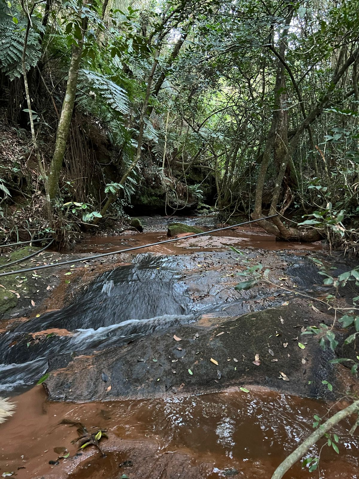 Imagem Chácara à Venda, 100.000 m²em Lomba Grande - Novo Hamburgo