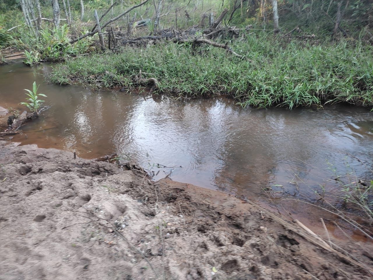 Imagem Fazenda à Venda, 51 HAem zona rural - Desterro de Entre Rios