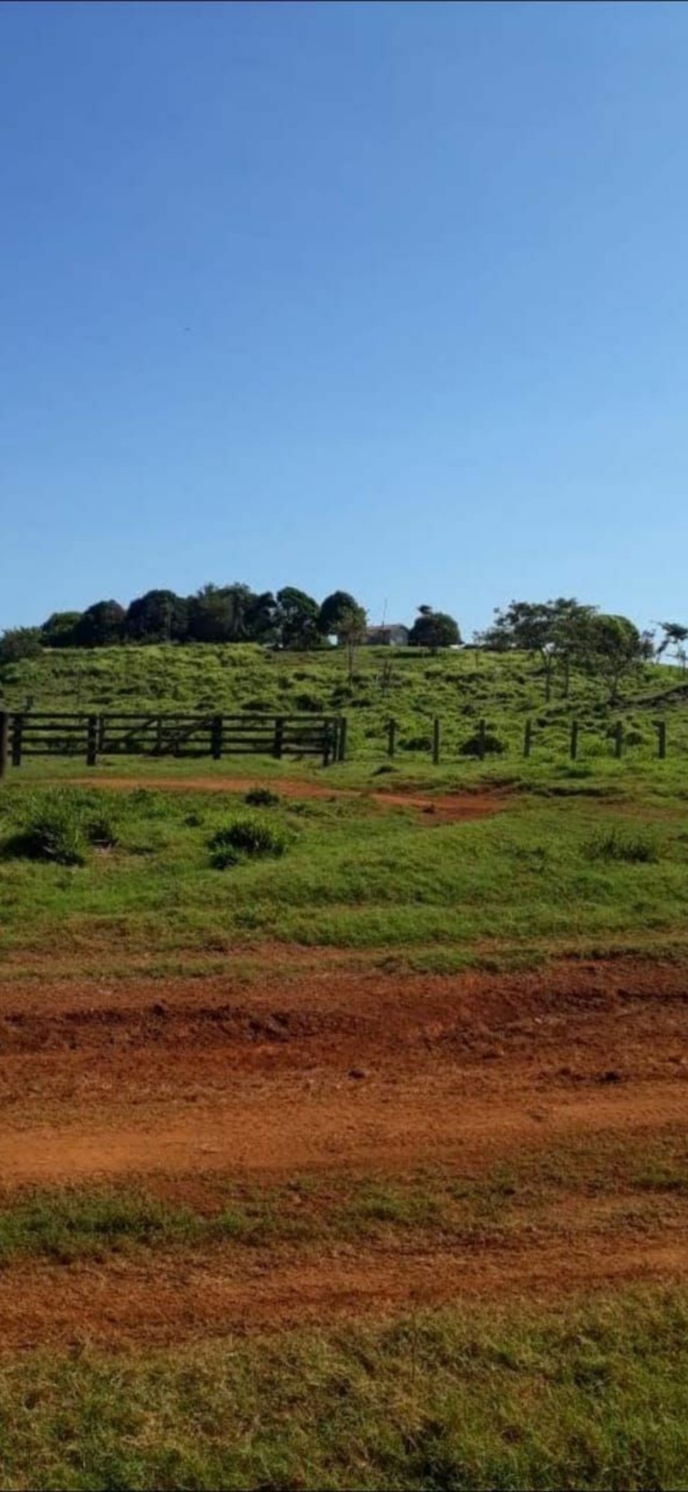Imagem Fazenda à Venda, 9.399 m² em Centro - São Félix do Xingu Imagem Fazenda à Venda, 9.399 m² em Centro - São Félix do Xingu