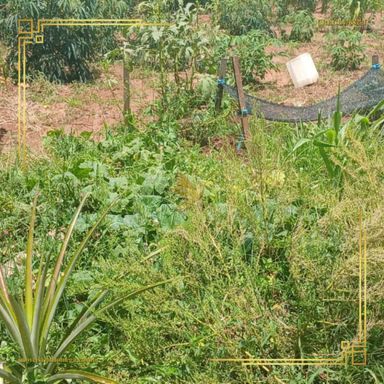 Imagem Terreno à Venda, 250 m² em Jardim Monte Mor - Botucatu Imagem Terreno à Venda, 250 m² em Jardim Monte Mor - Botucatu