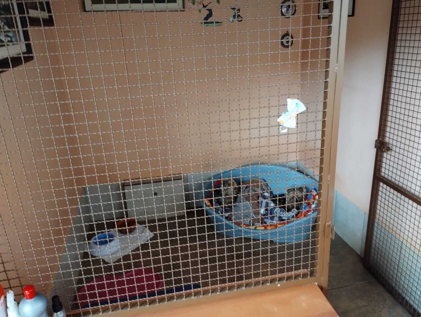 Imagem Casa com 3 Quartos à Venda, 294 m² em Vila Esperia ou Giglio - Atibaia