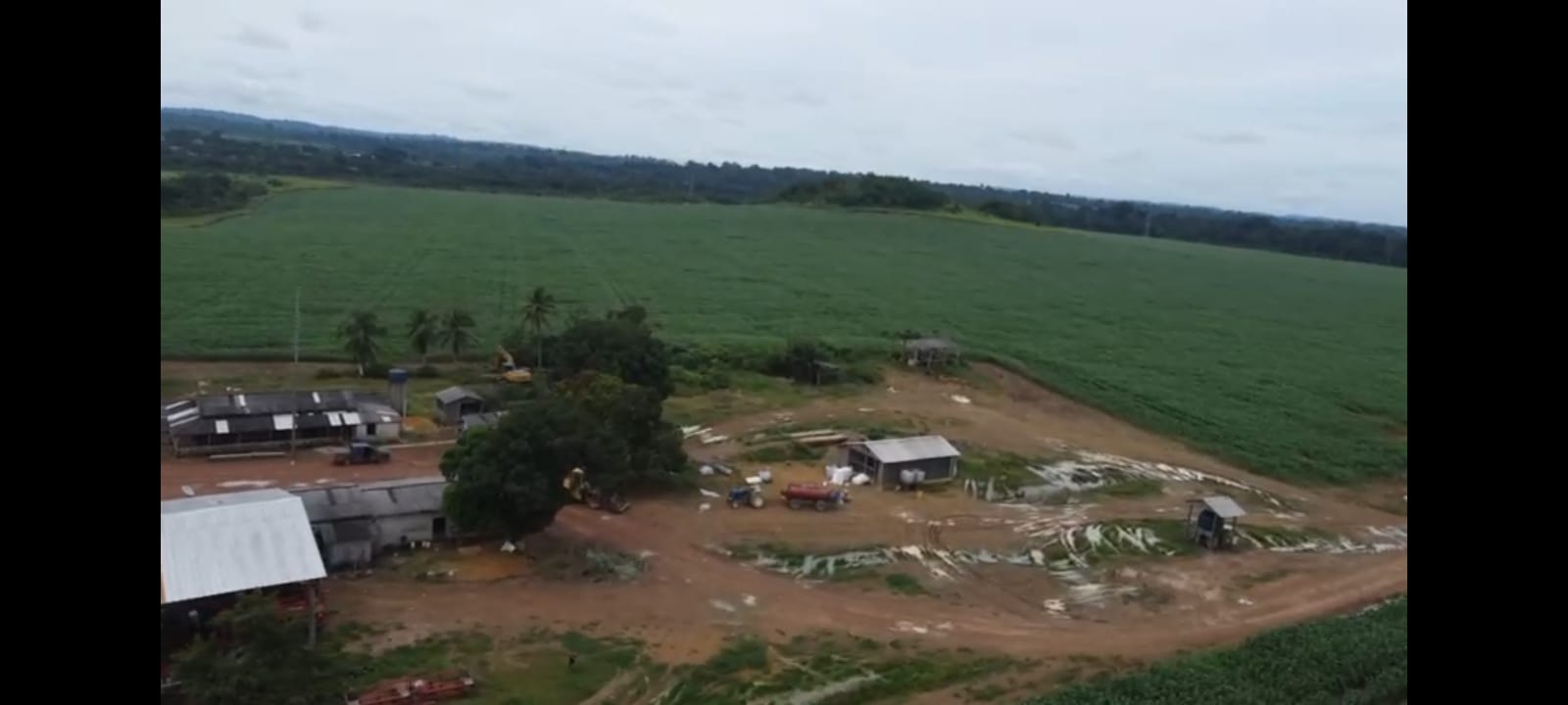 Imagem Fazenda à Venda, 4 HAem ZONA RURAL - Novo Progresso Imagem Fazenda à Venda, 4 HAem ZONA RURAL - Novo Progresso