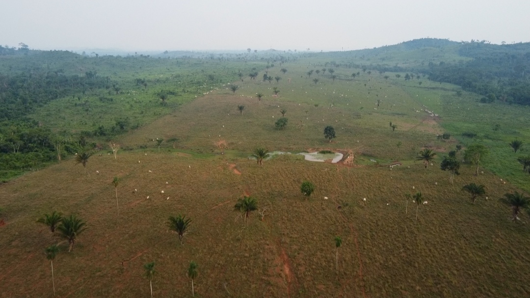 Imagem Fazenda à Venda, 1 m²em Centro  - São Félix do Xingu