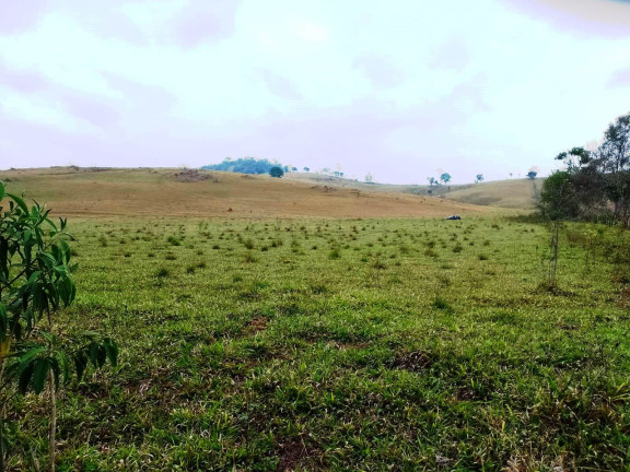 Imagem Fazenda à Venda, 135 Alq SP em Rural - Caconde