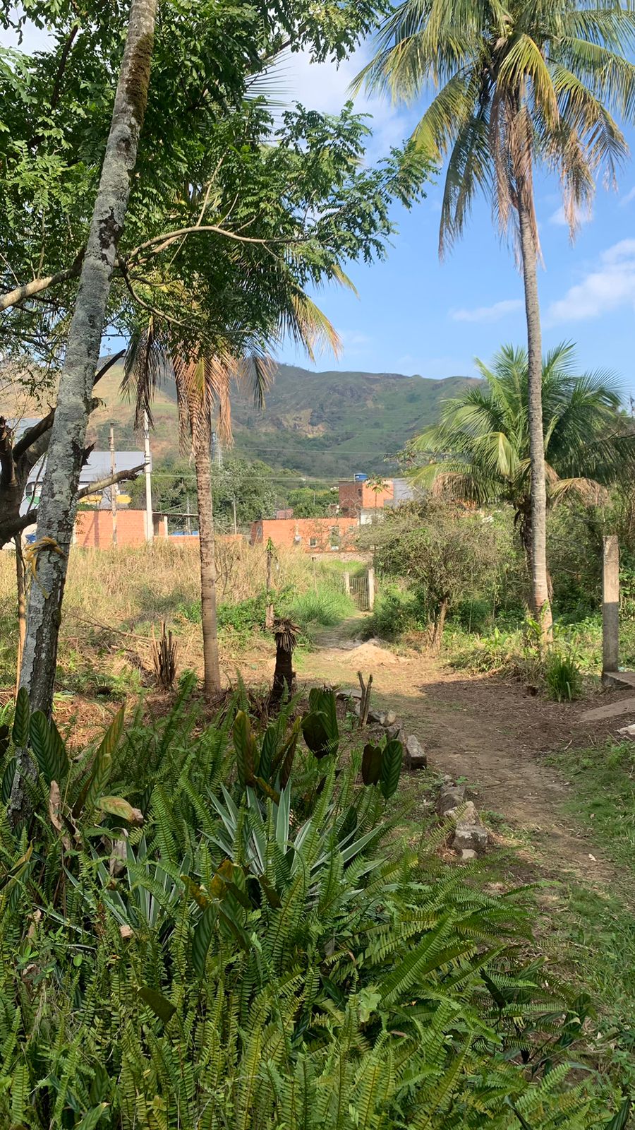 Imagem Terreno à Venda, 17.850 m² em Realengo - Rio de Janeiro Imagem Terreno à Venda, 17.850 m² em Realengo - Rio de Janeiro