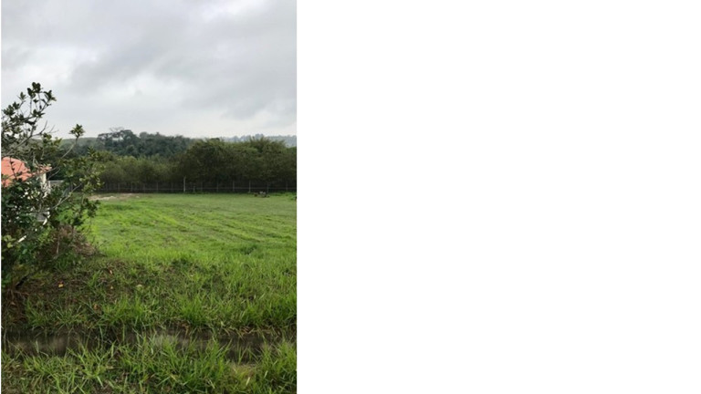 Imagem Terreno em Condomínio à Venda, 1.197 m² em Condomínio Parque Vale dos Lagos - Jacareí Imagem Terreno em Condomínio à Venda, 1.197 m² em Condomínio Parque Vale dos Lagos - Jacareí